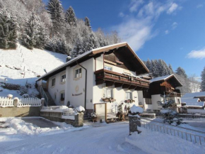 Apartment near the ski area in Stuhlfelden